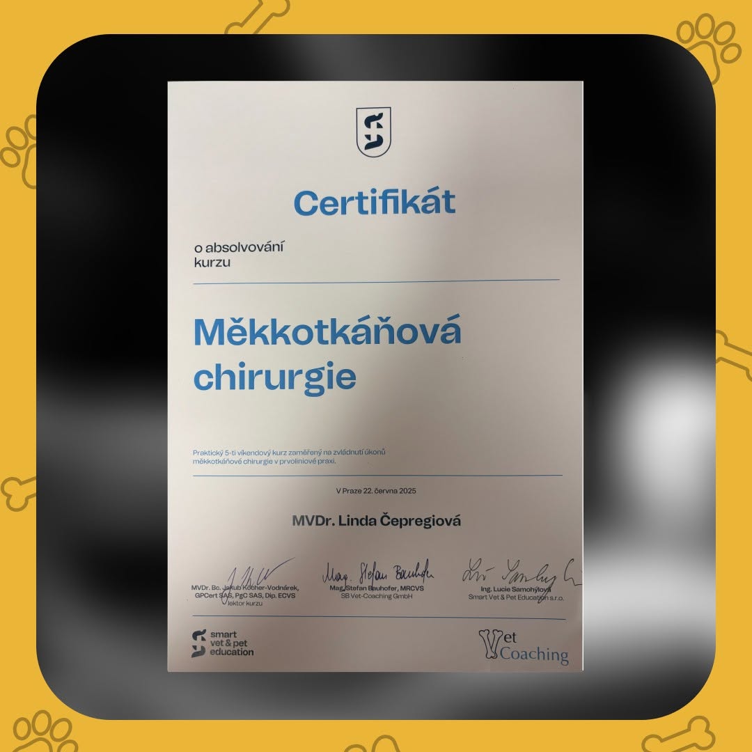 Certifikát mäkkotkanivová chirurgia