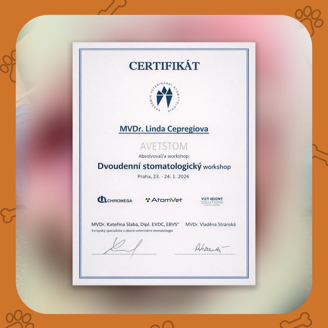 Certifikát stomatologický workshop