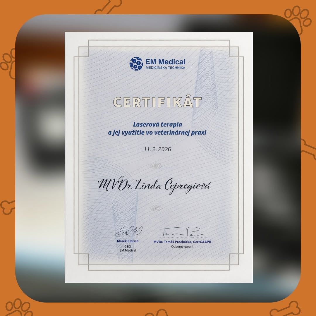 Certifikát laserová terapia